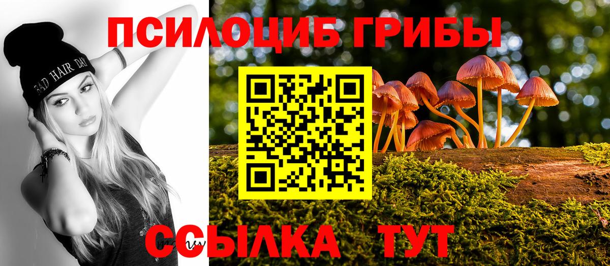 Златоуст  Псилоцибиновые грибы Magic Shrooms  Вход с VPN 